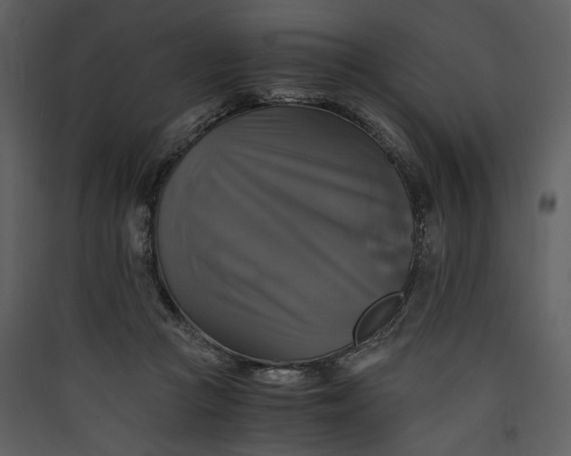 X0000089920361200707131416