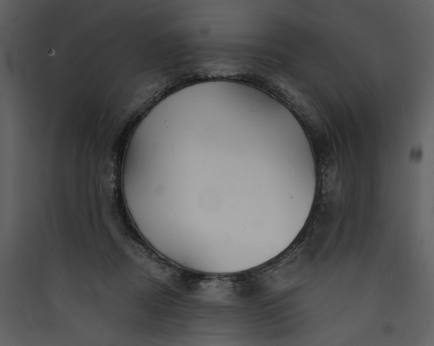 X0000089920362200707131416