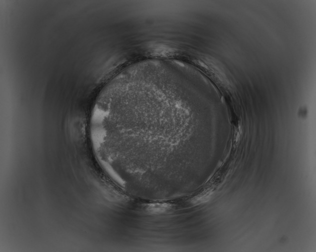X0000089920363200707131416