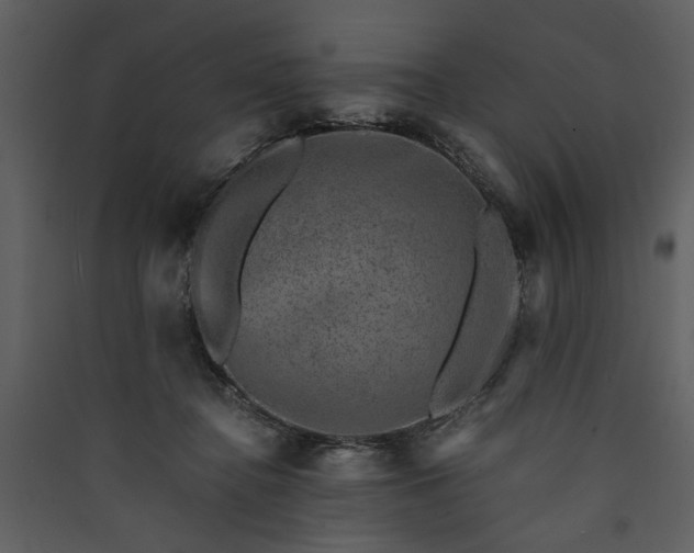 X0000089920364200707131416