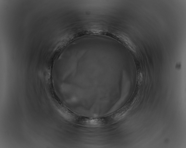 X0000089920365200707131416