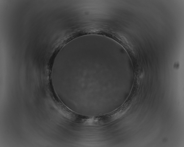 X0000089920366200707131416
