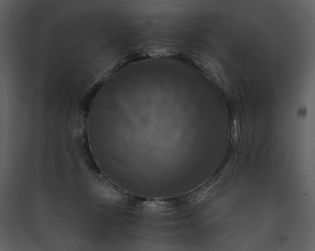 X0000089920367200707131416