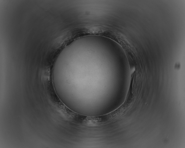 X0000089920368200707131416