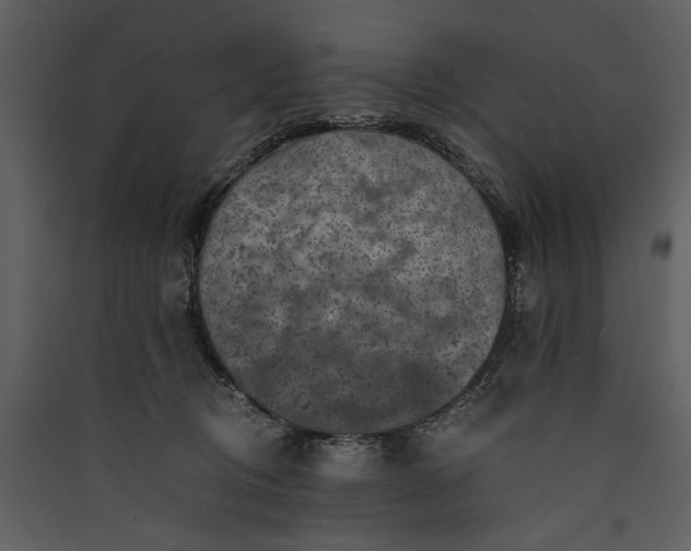 X0000089920370200707131416