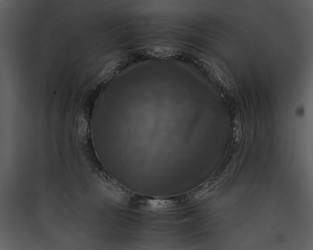 X0000089920371200707131416