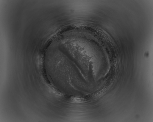 X0000089920372200707131416