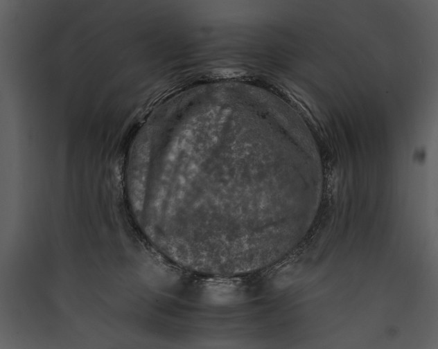 X0000089920373200707131416