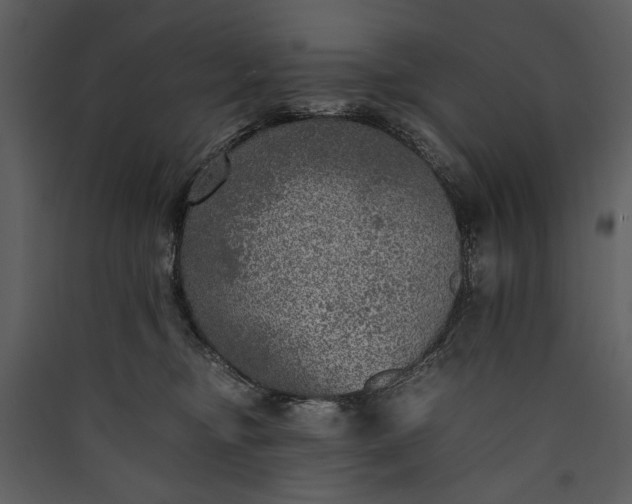 X0000089920374200707131416