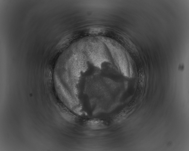 X0000089920375200707131416