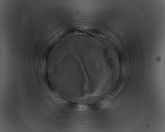 X0000089920376200707131416