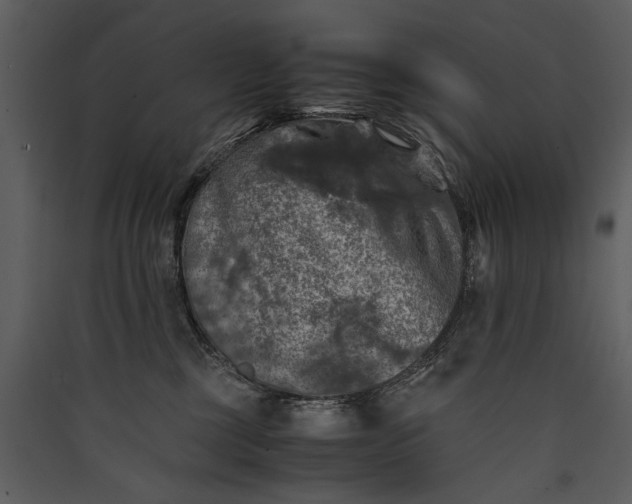 X0000089920377200707131416