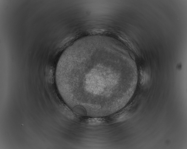 X0000089920378200707131416