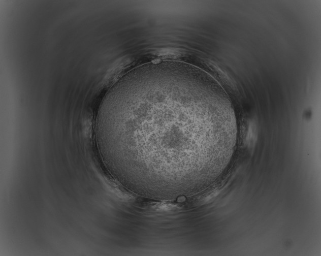 X0000089920379200707131416