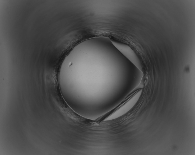 X0000089920380200707131416