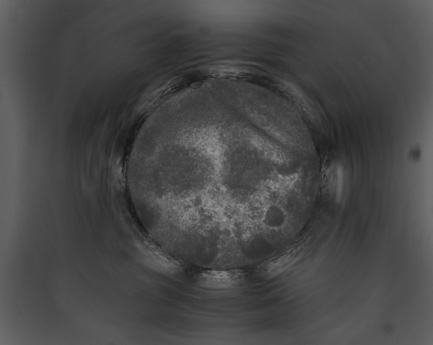 X0000089920381200707131416