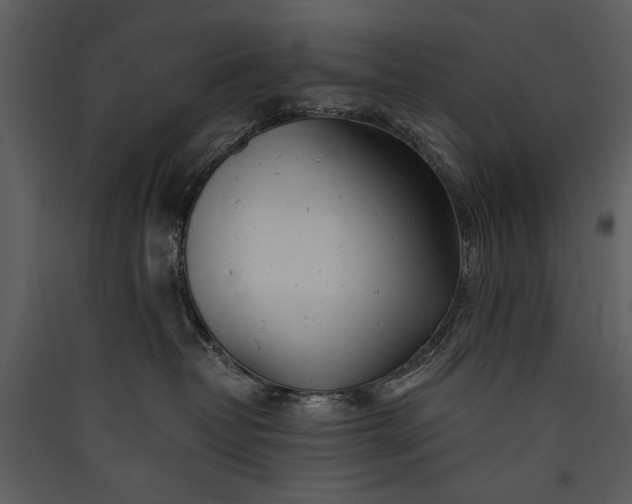 X0000089920382200707131416
