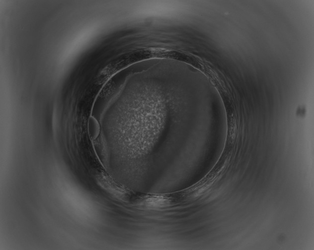 X0000089920383200707131416