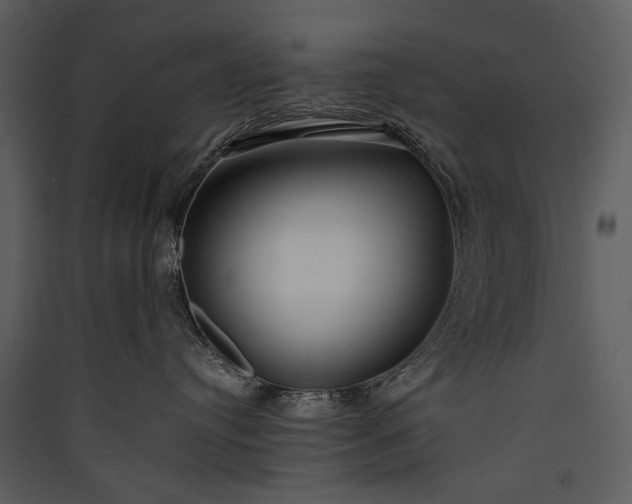 X0000089920384200707131416