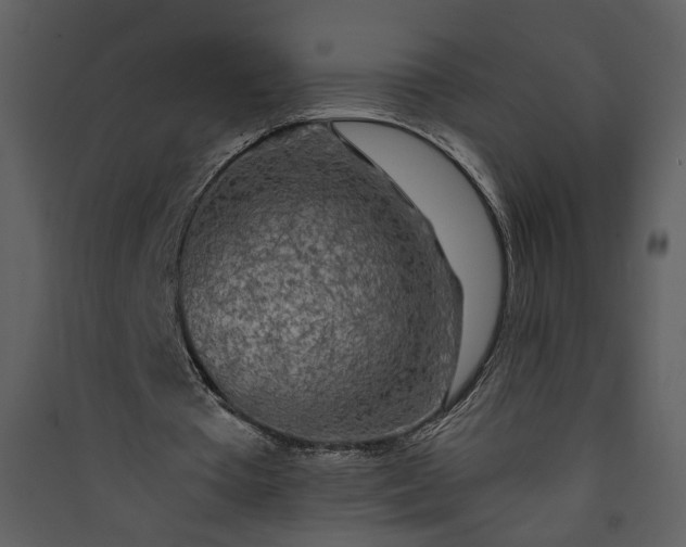 X0000089920385200707131415