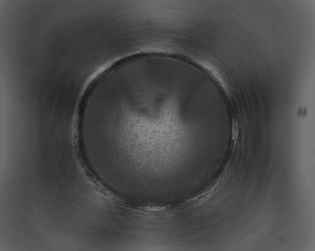 X0000089920388200707131415