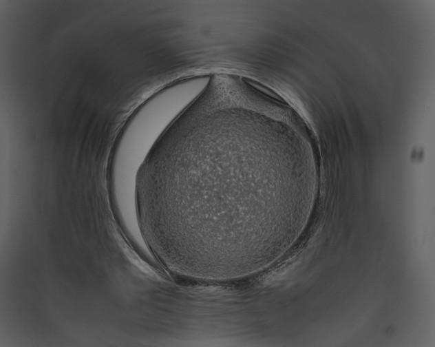 X0000089920389200707131415