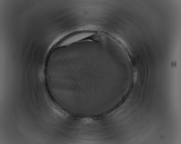 X0000089920392200707131415