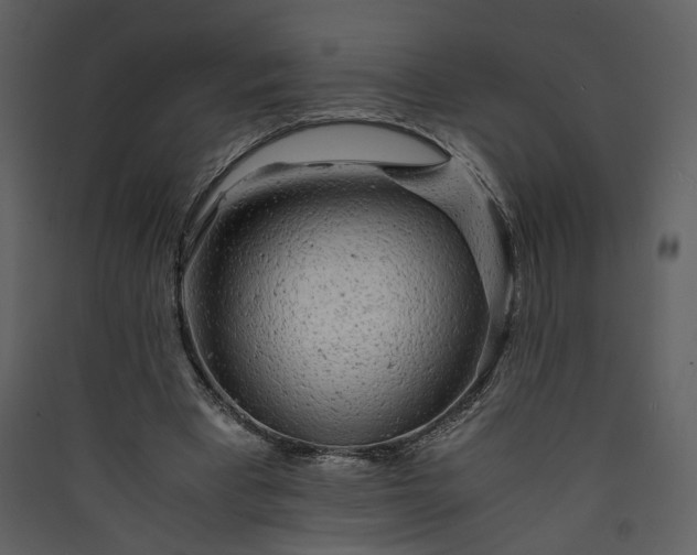 X0000089920393200707131415