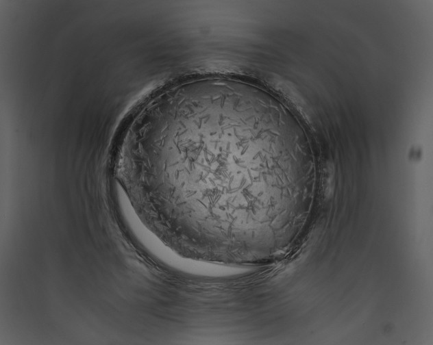 X0000089920395200707131415