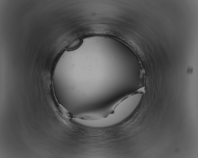 X0000089920397200707131415