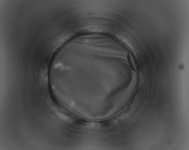 X0000089920398200707131415