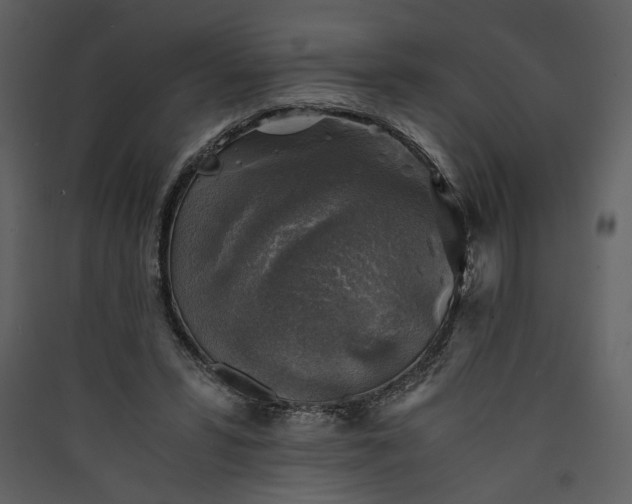 X0000089920399200707131415