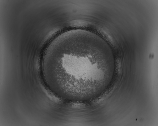 X0000089920400200707131415