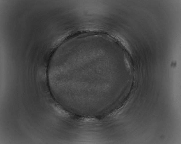 X0000089920401200707131415