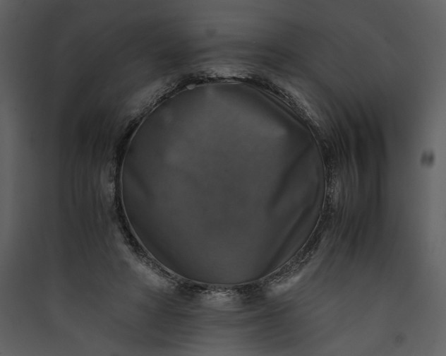 X0000089920402200707131415