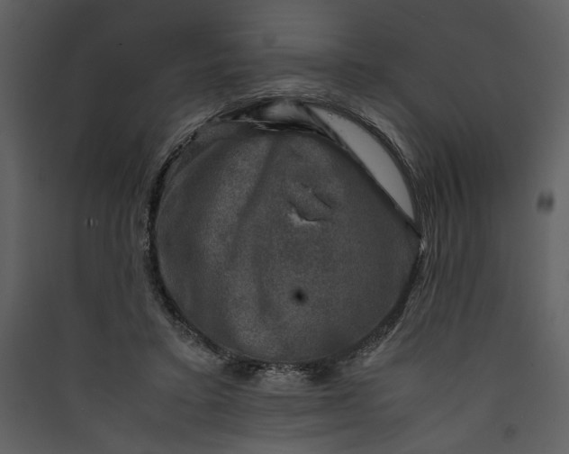 X0000089920403200707131415