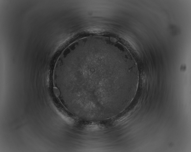X0000089920404200707131415