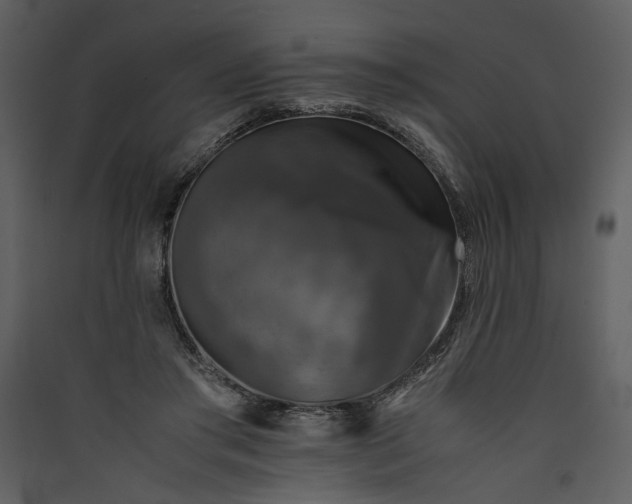X0000089920405200707131415