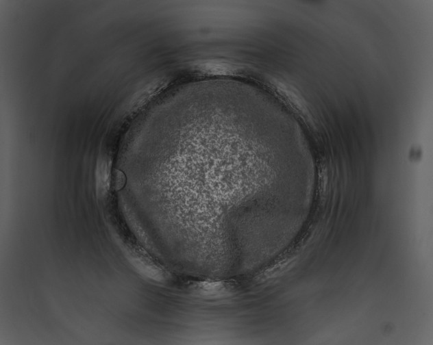 X0000089920406200707131415