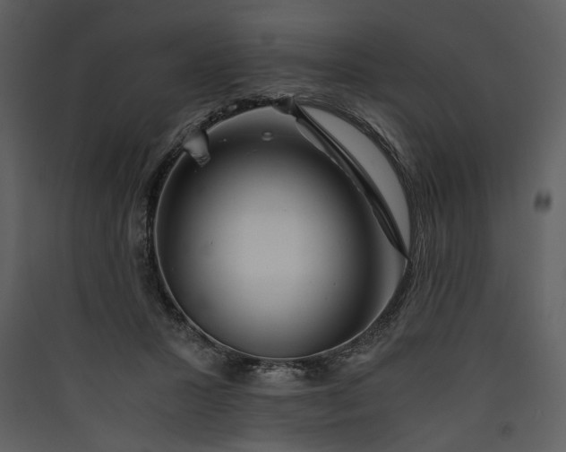 X0000089920407200707131415
