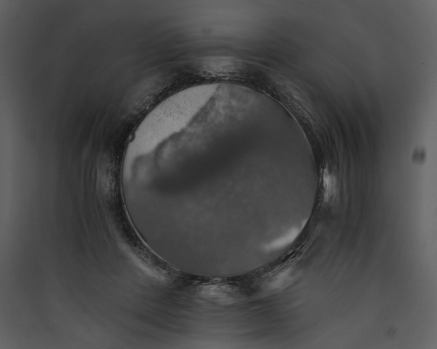 X0000089920408200707131415