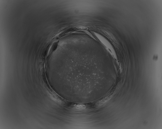 X0000089920409200707131415