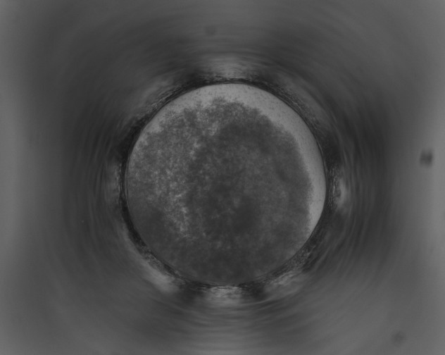 X0000089920410200707131415