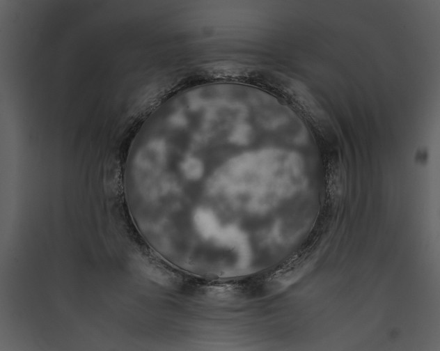 X0000089920411200707131415
