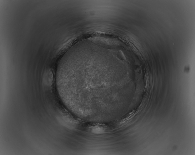 X0000089920412200707131415
