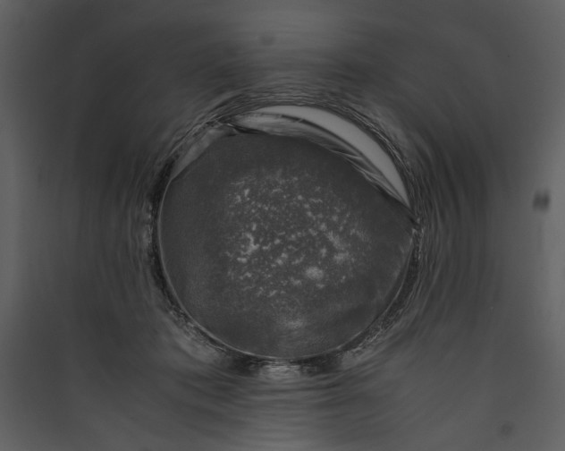 X0000089920413200707131415