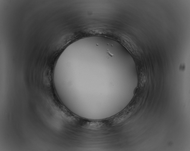 X0000089920414200707131415