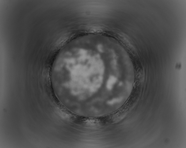 X0000089920415200707131415