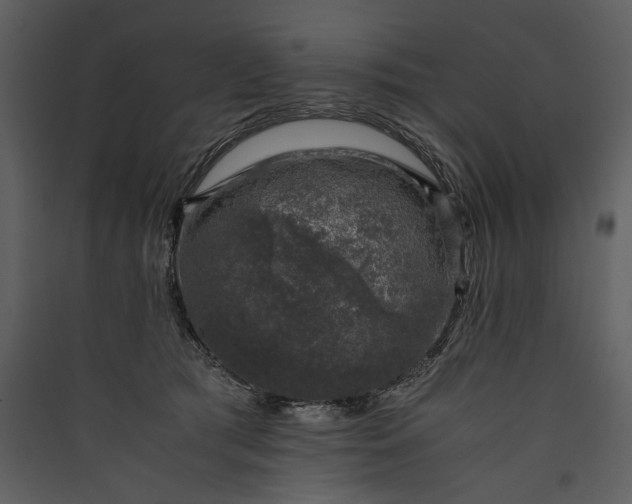 X0000089920417200707131415