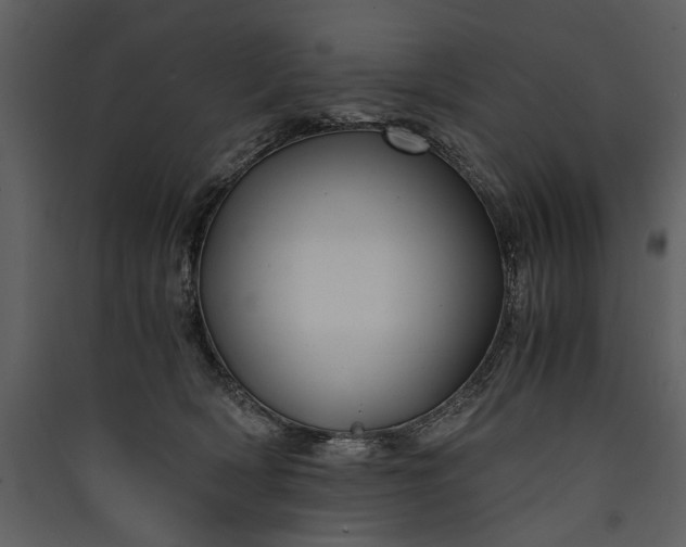 X0000089920418200707131415